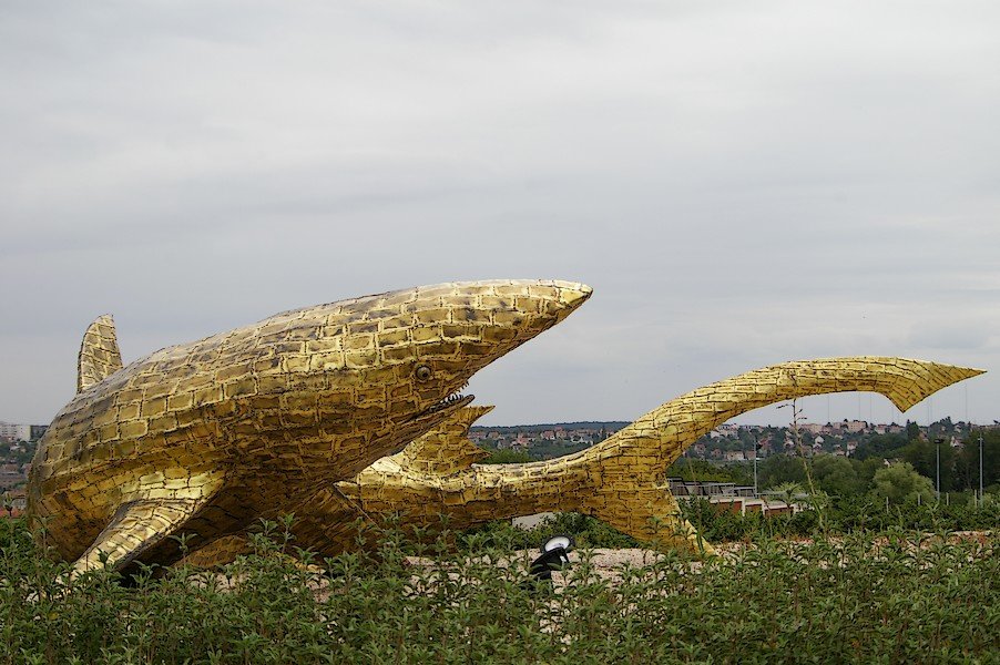 Le Requin de Francois Melin: Francois Melin - Le requin 010